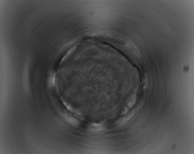 X0000101090095200807171858