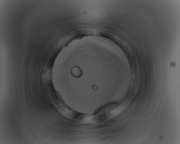 X0000101090096200807171858