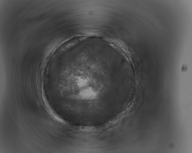 X0000101090097200807171857