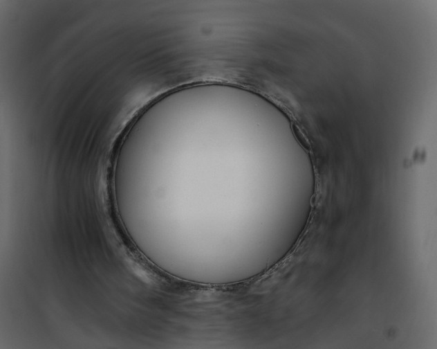 X0000101090098200807171857