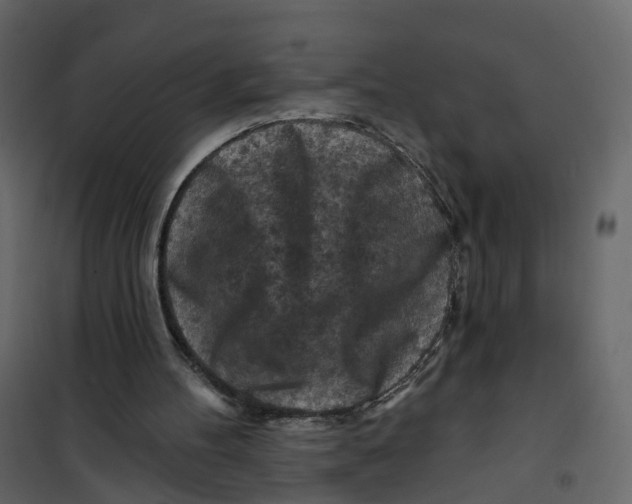 X0000101090100200807171857