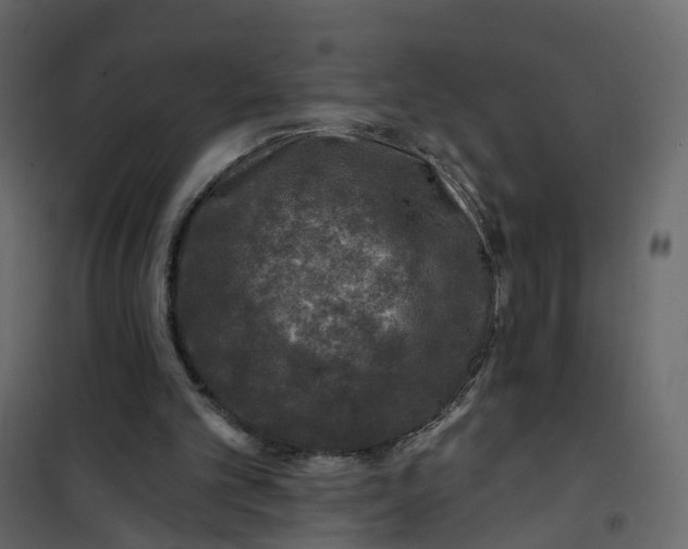 X0000101090101200807171857