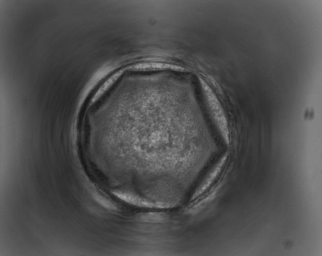 X0000101090102200807171857