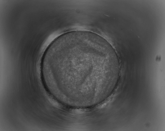 X0000101090103200807171857