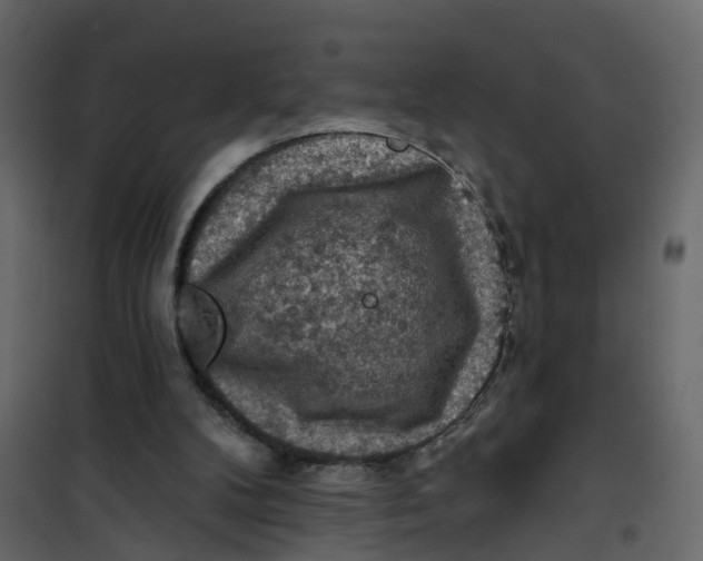 X0000101090104200807171857