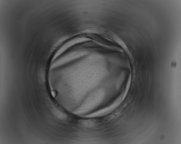 X0000101090106200807171857