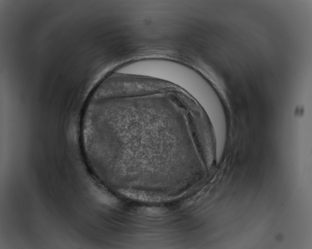 X0000101090107200807171857