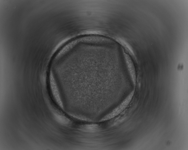 X0000101090108200807171857