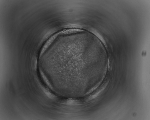 X0000101090109200807171857