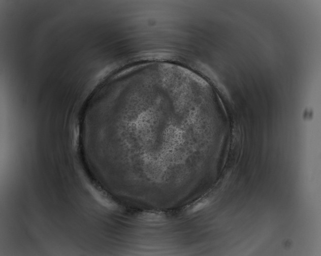 X0000101090110200807171857