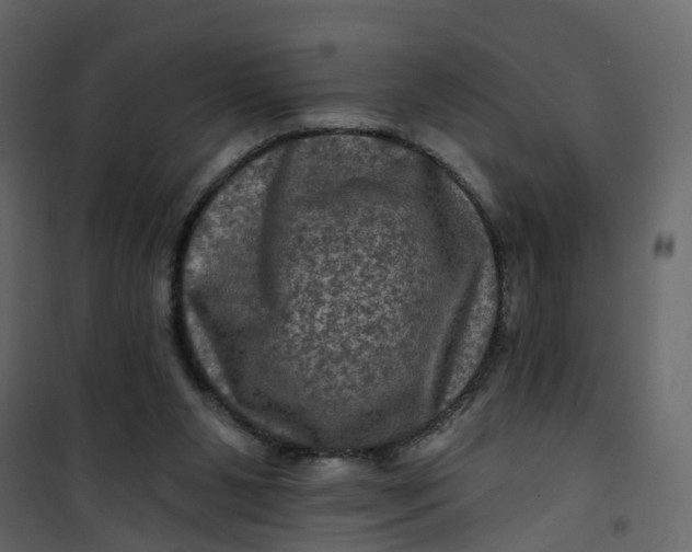 X0000101090111200807171857