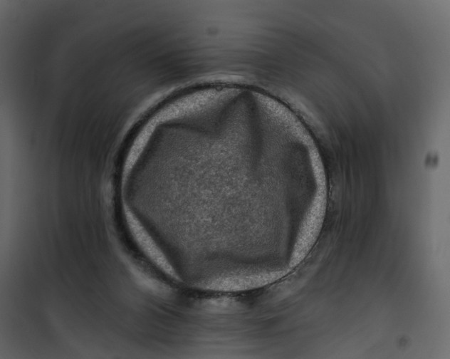 X0000101090112200807171857