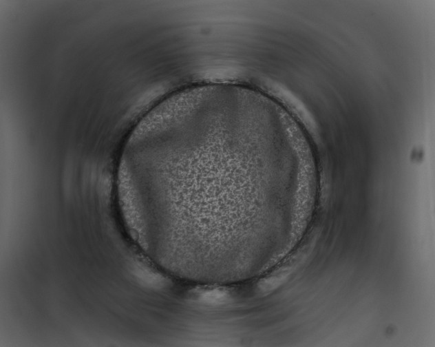 X0000101090113200807171857