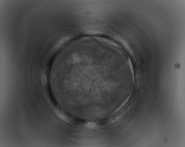 X0000101090114200807171857