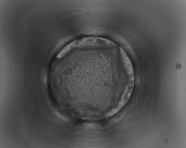 X0000101090115200807171857