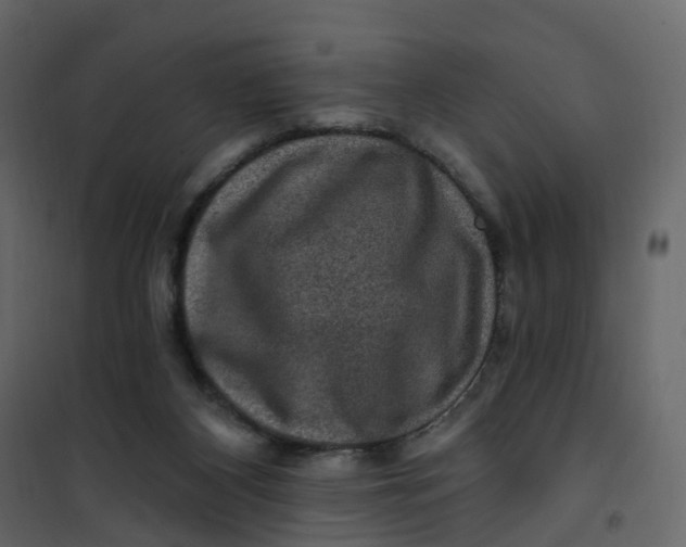 X0000101090116200807171857