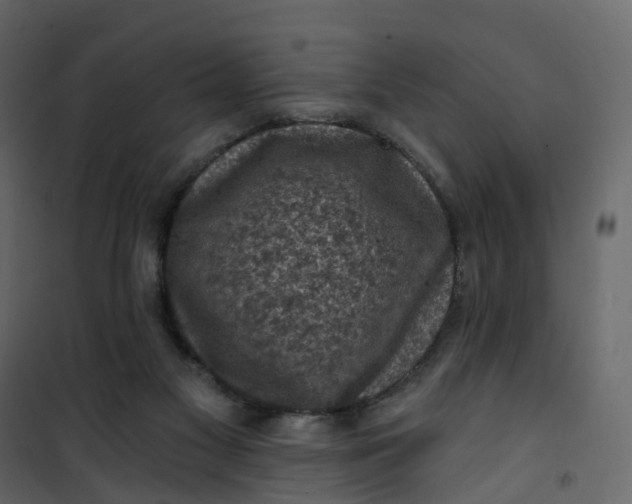 X0000101090117200807171857