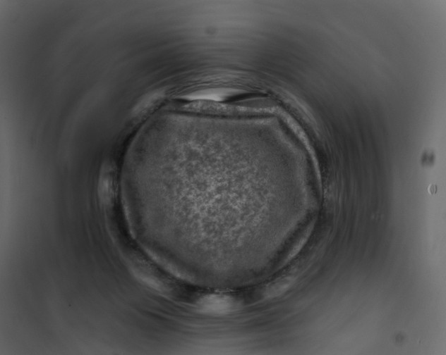 X0000101090119200807171857