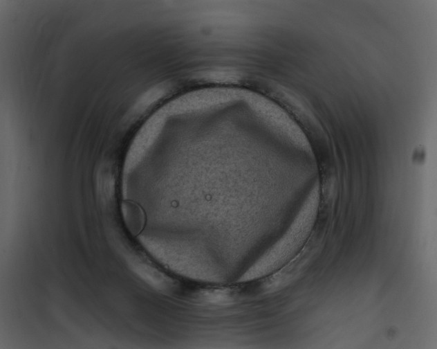 X0000101090120200807171857