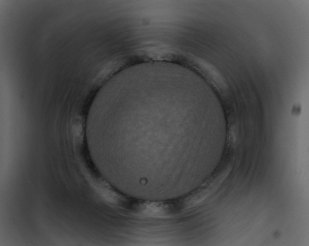 X0000101090121200807171857