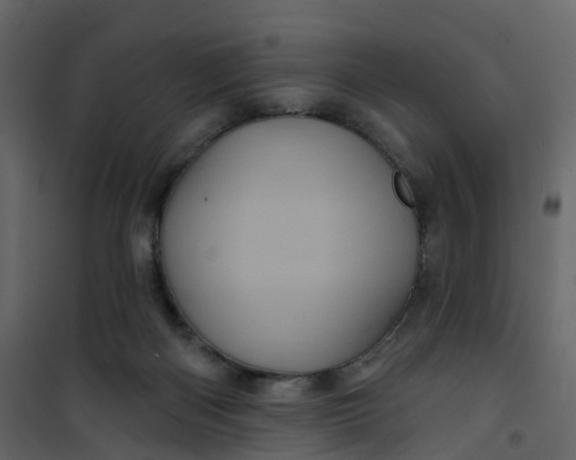 X0000101090122200807171857