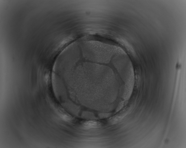 X0000101090123200807171857