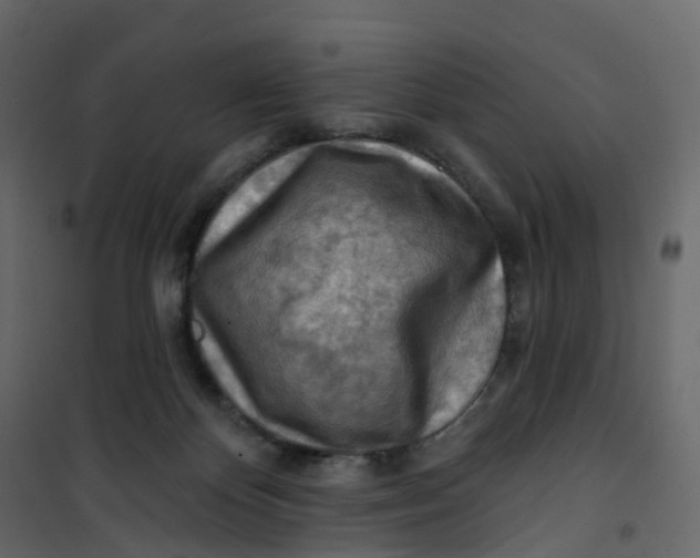 X0000101090124200807171857