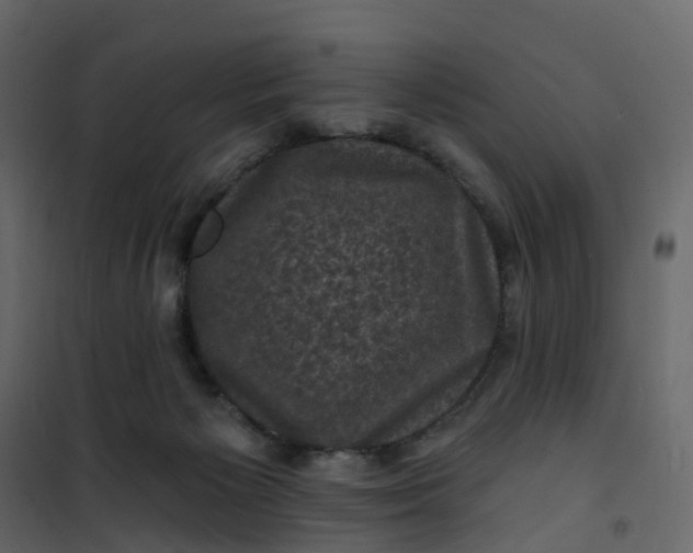 X0000101090125200807171857