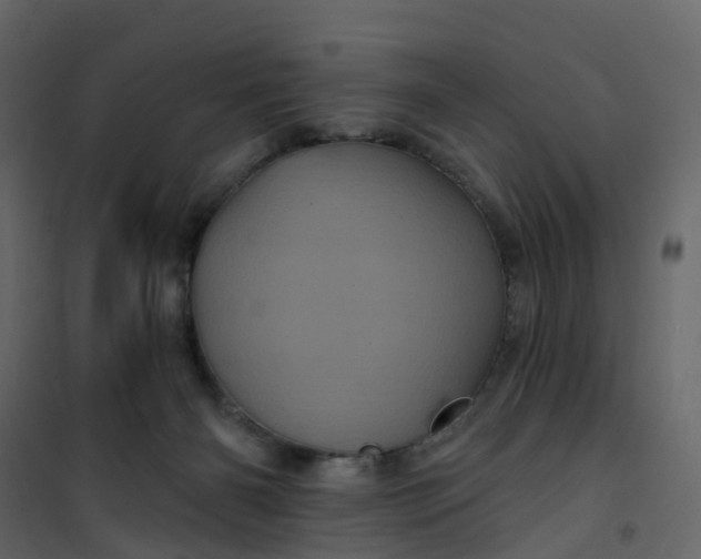 X0000101090126200807171857