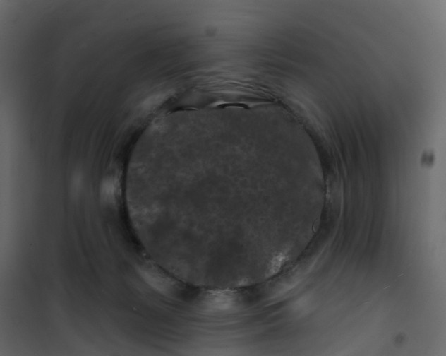 X0000101090127200807171857