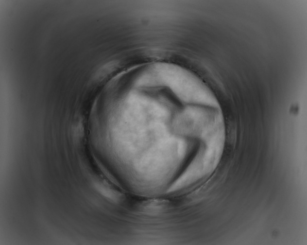 X0000101090128200807171857