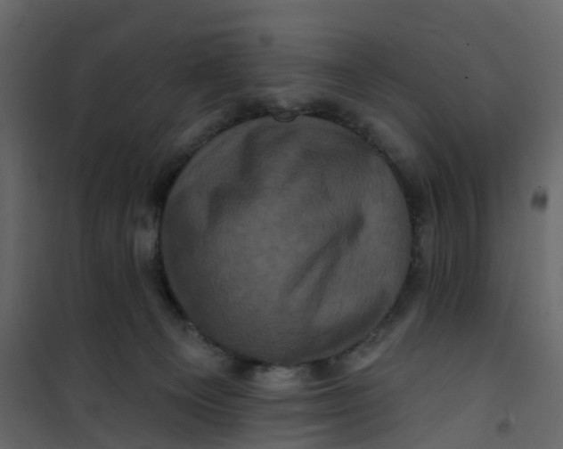 X0000101090129200807171857