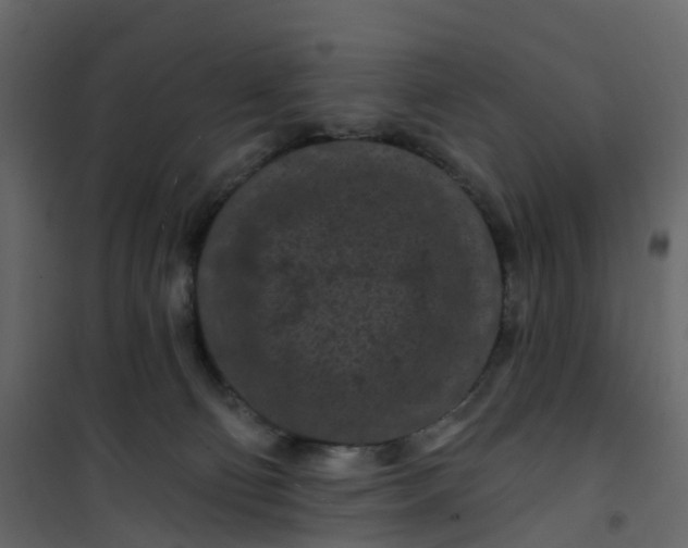 X0000101090130200807171857