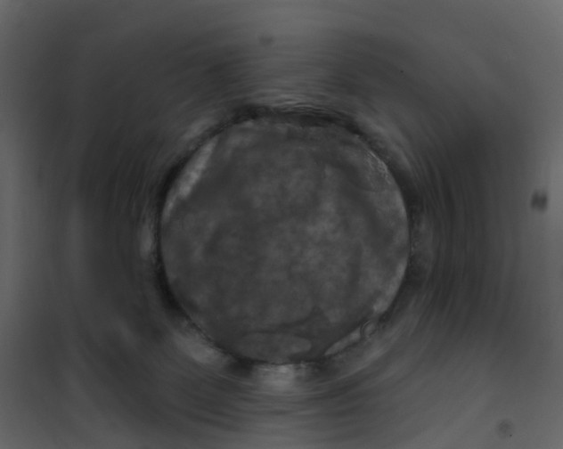 X0000101090131200807171857