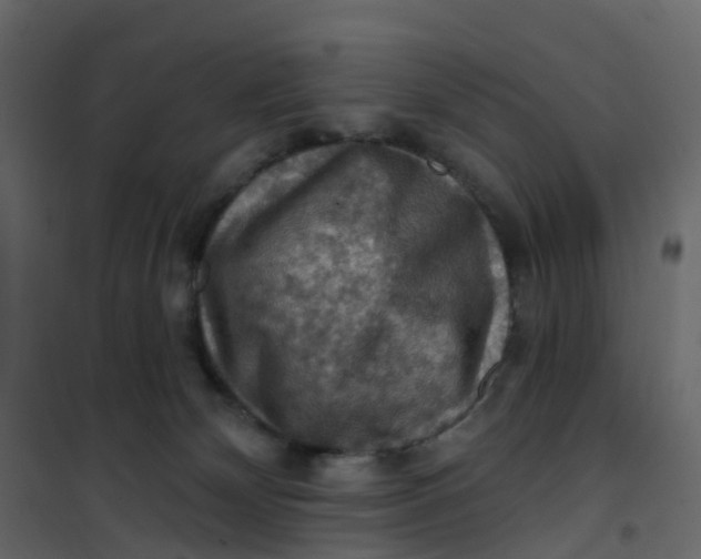 X0000101090132200807171857