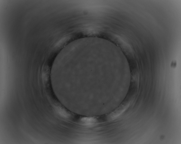 X0000101090133200807171857