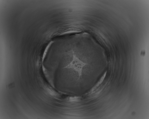 X0000101090134200807171857