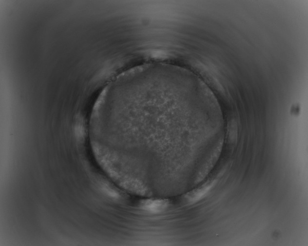 X0000101090135200807171857