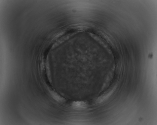 X0000101090137200807171857