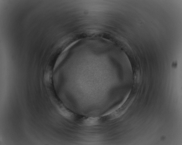 X0000101090138200807171857