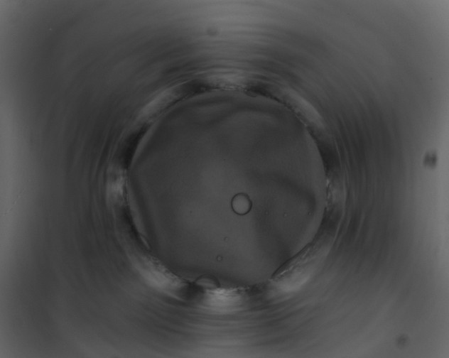 X0000101090141200807171857