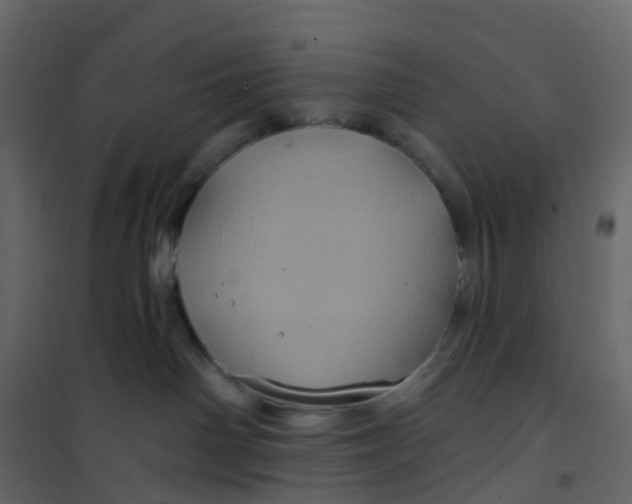 X0000101090142200807171857