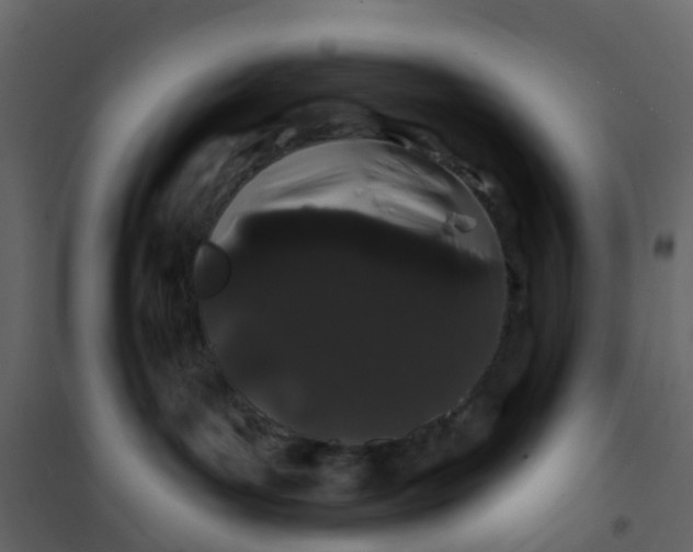 X0000101090143200807171857