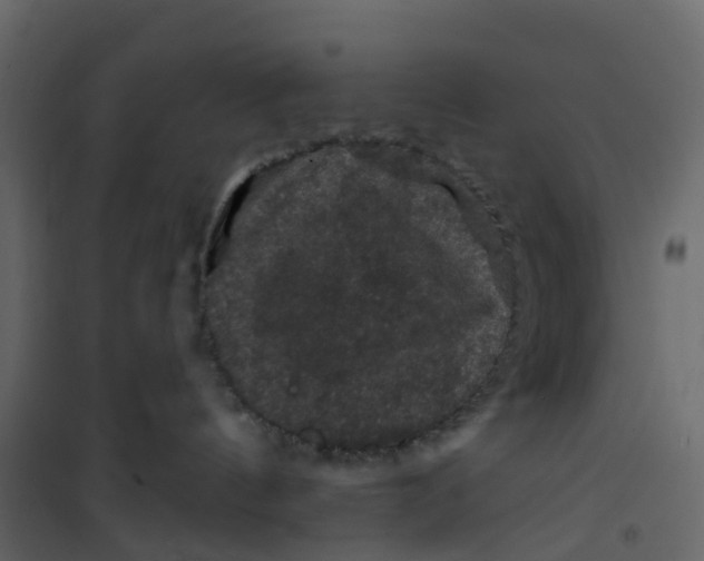 X0000101090144200807171857