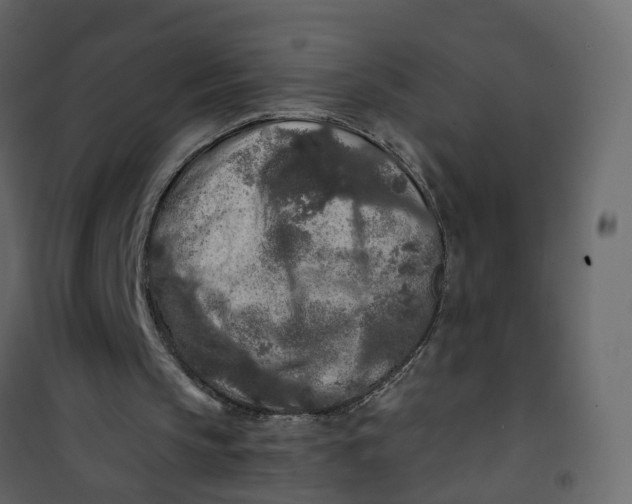 X0000101090145200807171856