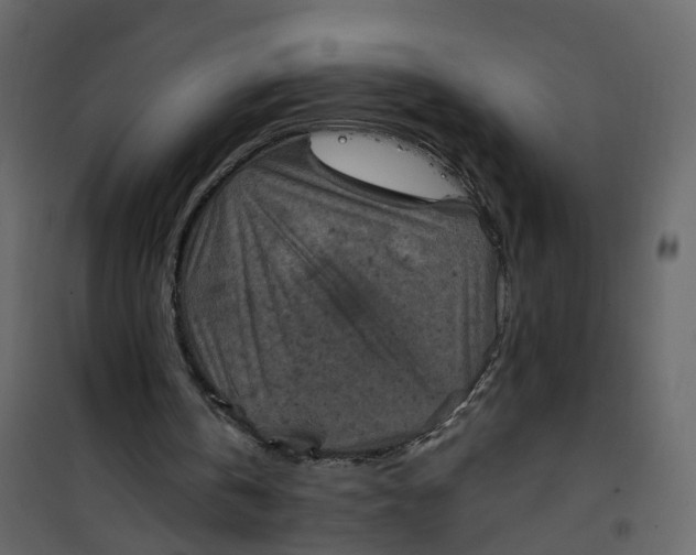 X0000101090146200807171856