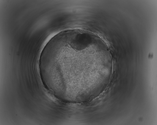 X0000101090147200807171856