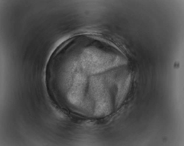 X0000101090148200807171856