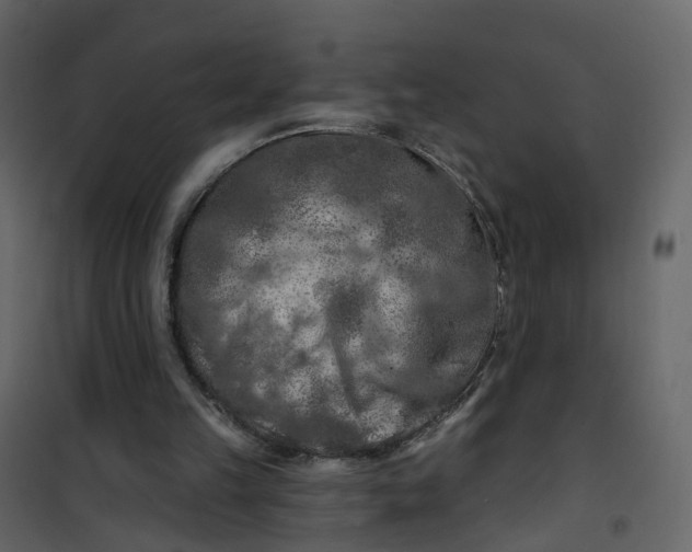 X0000101090149200807171856