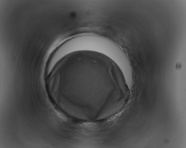 X0000101090150200807171856